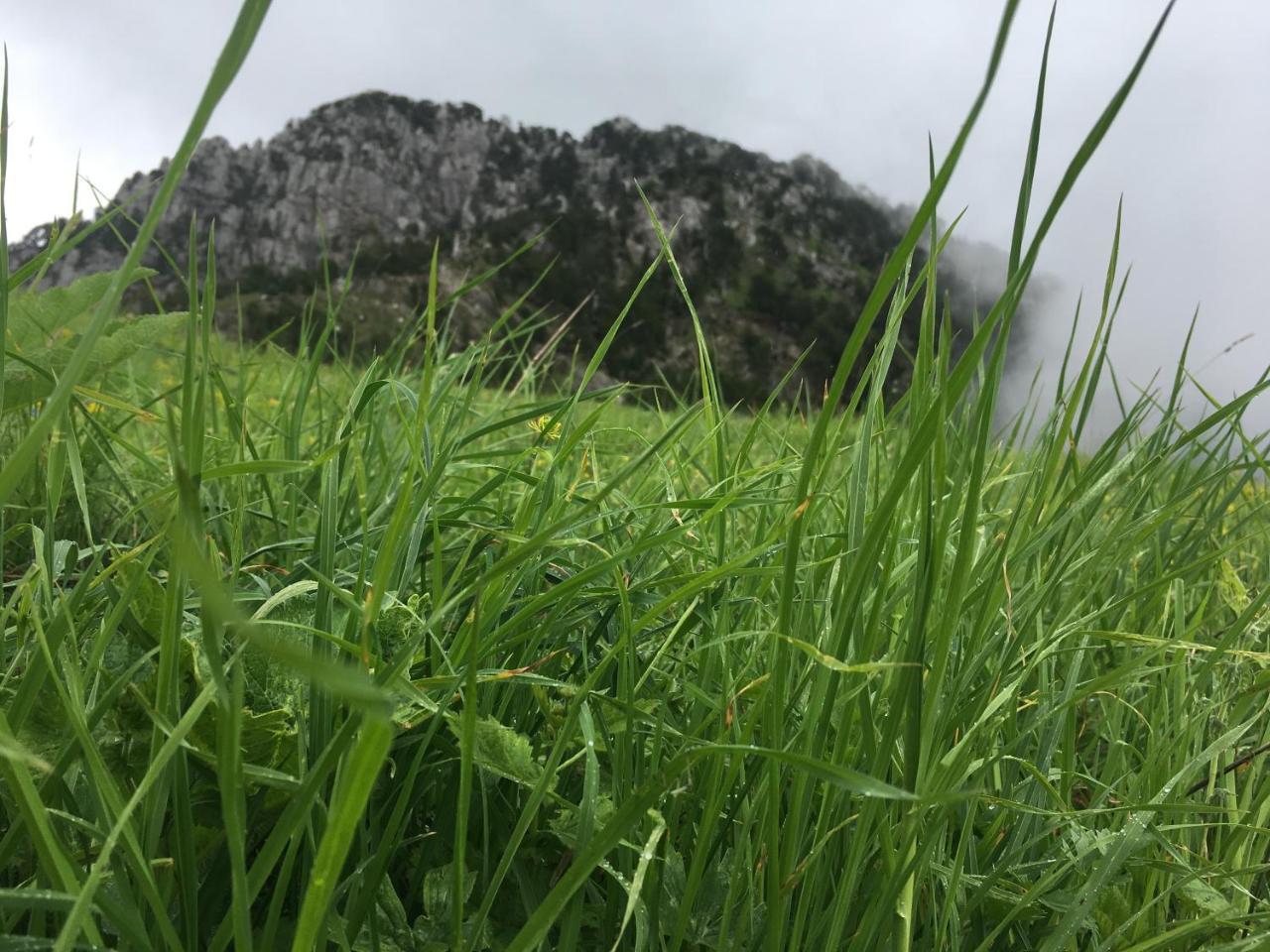 Bujtina Dreni Otel Theth Dış mekan fotoğraf
